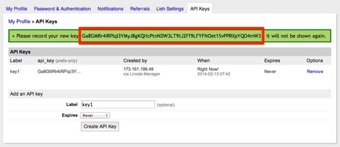 Copy the API key that appears at the top of the page.