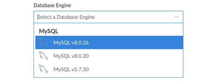 Screenshot of the Database Engine dropdown menu